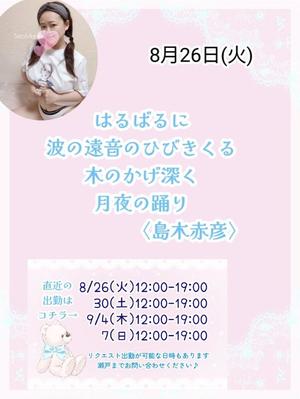 瀬戸麻莉子の写メ日記｜プレジデントハウス 吉原大衆店ソープ