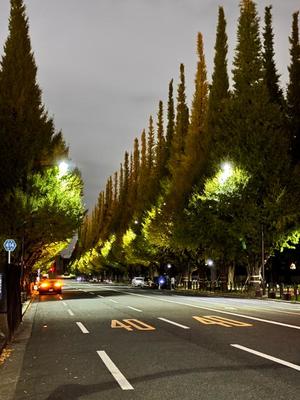 国仲紗花の写メ日記｜プレジデントハウス 吉原大衆店ソープ
