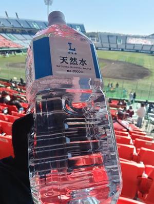 若林美加子の写メ日記｜プレジデントハウス 吉原大衆店ソープ