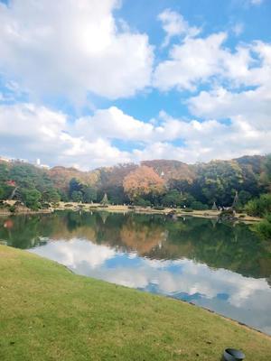 新山奈々の写メ日記｜プレジデントハウス 吉原大衆店ソープ