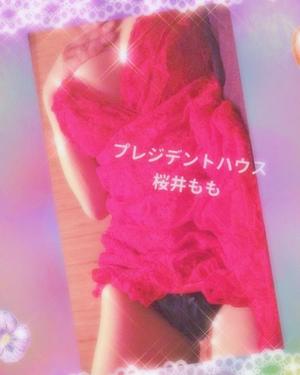 桜井ももの写メ日記|プレジデントハウス 吉原大衆店ソープ
