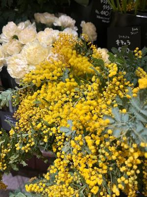 岡 かなえの写メ日記｜プレジデントハウス 吉原大衆店ソープ