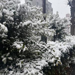 今井優里の写メ日記｜プレジデントハウス 吉原大衆店ソープ