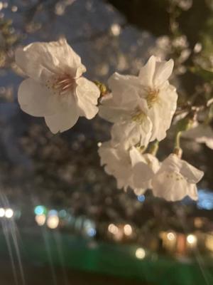 小島碧夏の写メ日記｜プレジデントハウス 吉原大衆店ソープ
