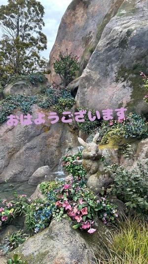 成瀬まこの写メ日記｜プレジデントハウス 吉原大衆店ソープ