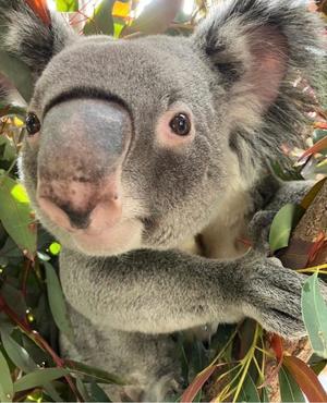 成瀬まこの写メ日記｜プレジデントハウス 吉原大衆店ソープ