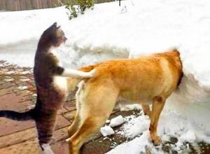 成瀬まこの写メ日記｜プレジデントハウス 吉原大衆店ソープ