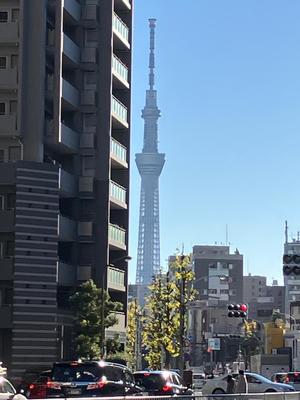 天海佑梨の写メ日記｜プレジデントハウス 吉原大衆店ソープ