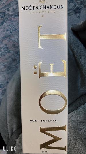 天海佑梨の写メ日記｜プレジデントハウス 吉原大衆店ソープ