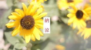 天海佑梨の写メ日記｜プレジデントハウス 吉原大衆店ソープ