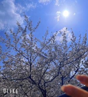 湧井ゆかりの写メ日記｜プレジデントハウス 吉原大衆店ソープ