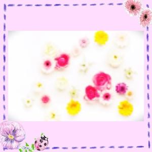 水川星名の写メ日記｜プレジデントハウス 吉原大衆店ソープ