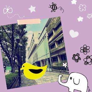 水川星名の写メ日記｜プレジデントハウス 吉原大衆店ソープ