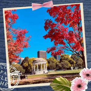 水川星名の写メ日記｜プレジデントハウス 吉原大衆店ソープ