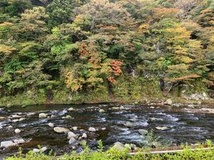 三条綾香の写メ日記｜プレジデントハウス 吉原大衆店ソープ