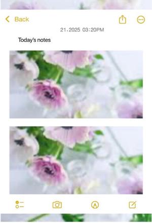 篠原詩織の写メ日記｜プレジデントハウス 吉原大衆店ソープ