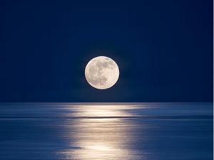 柊 月帆の写メ日記｜プレジデントハウス 吉原大衆店ソープ