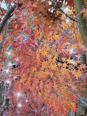 高橋さつきの写メ日記｜プレジデントハウス 吉原大衆店ソープ