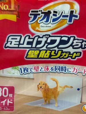 琴音みやびの写メ日記｜プレジデントハウス 吉原大衆店ソープ