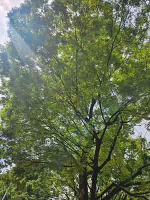 水瀬あいなの写メ日記｜プレジデントハウス 吉原大衆店ソープ