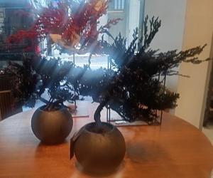 柚木らんの写メ日記|プレジデントハウス 吉原大衆店ソープ