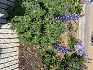 Michikaの写メ日記｜プロポーション 吉原高級店ソープ