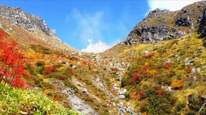 Fumiの写メ日記｜プロポーション 川崎高級店ソープ