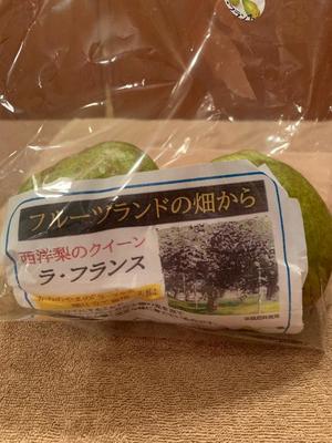 江波かえでの写メ日記｜ローテンブルク 吉原高級店ソープ