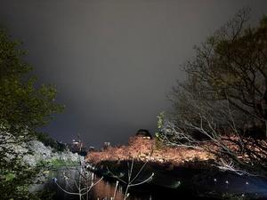 大桃かれんの写メ日記｜ローテンブルク 吉原高級店ソープ