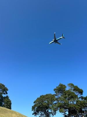 本多真歩の写メ日記｜ローテンブルク 吉原高級店ソープ