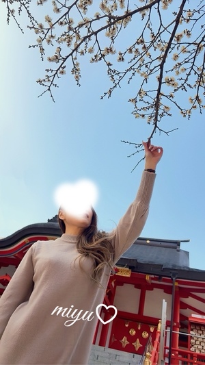 麻倉ミユの写メ日記｜ローテンブルク 吉原高級店ソープ