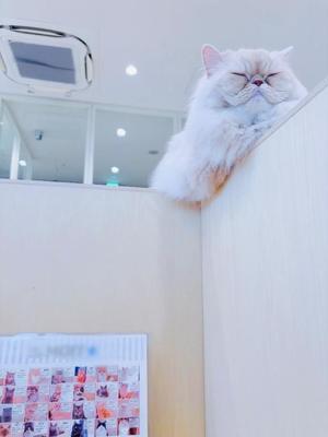 八代麻里江の写メ日記｜ローテンブルク 吉原高級店ソープ