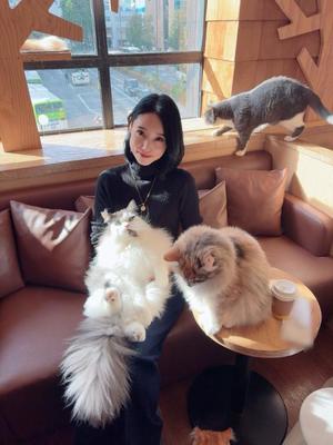 八代麻里江の写メ日記｜ローテンブルク 吉原高級店ソープ