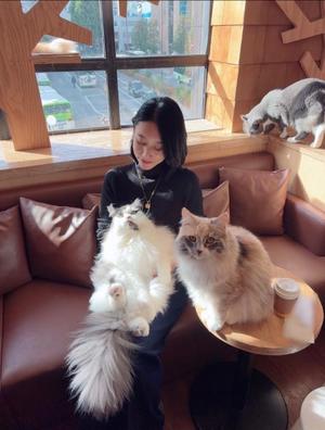 八代麻里江の写メ日記｜ローテンブルク 吉原高級店ソープ