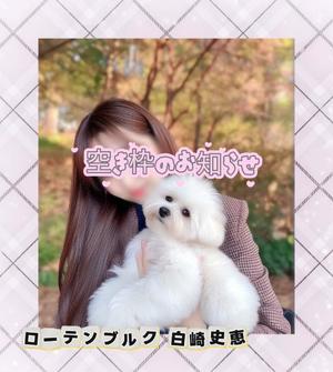 白崎史恵の写メ日記｜ローテンブルク 吉原高級店ソープ