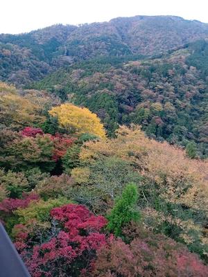 吉木アンの写メ日記｜ローテンブルク 吉原高級店ソープ