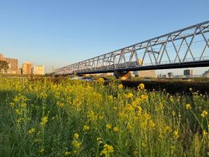 長門明奈の写メ日記｜ローテンブルク 吉原高級店ソープ
