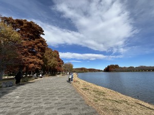 天野いくみの写メ日記｜ローテンブルク 吉原高級店ソープ