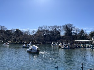 天野いくみの写メ日記｜ローテンブルク 吉原高級店ソープ