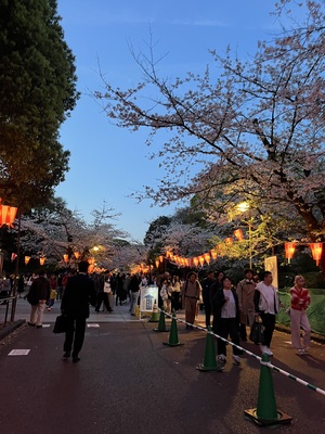 天野いくみの写メ日記｜ローテンブルク 吉原高級店ソープ