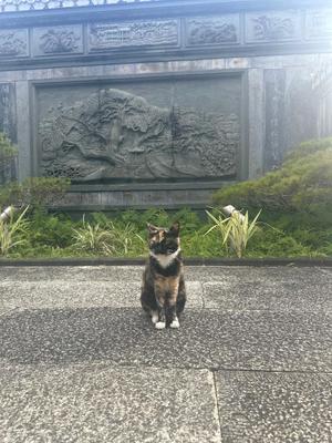 夢野 雅の写メ日記｜ローテンブルク 吉原高級店ソープ