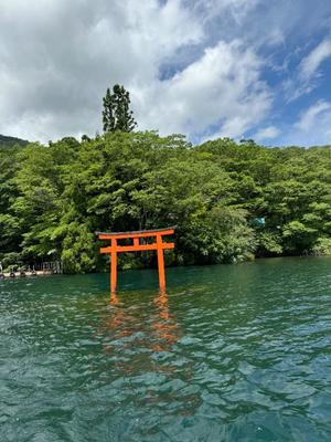 高坂すずの写メ日記｜ローテンブルク 吉原高級店ソープ