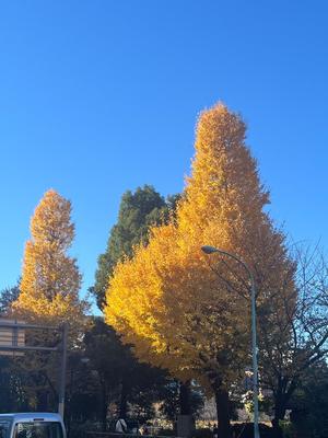 山岡鈴蘭の写メ日記｜ローテンブルク 吉原高級店ソープ