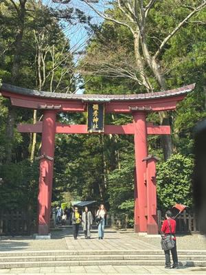 山岡鈴蘭の写メ日記｜ローテンブルク 吉原高級店ソープ