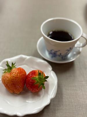 山岡鈴蘭の写メ日記｜ローテンブルク 吉原高級店ソープ