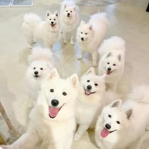 宝生 雫の写メ日記｜ローテンブルク 吉原高級店ソープ