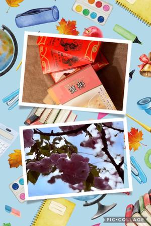 宝生 雫の写メ日記｜ローテンブルク 吉原高級店ソープ