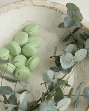 八木香苗の写メ日記|ローテンブルク 吉原高級店ソープ