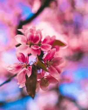 八木香苗の写メ日記|ローテンブルク 吉原高級店ソープ