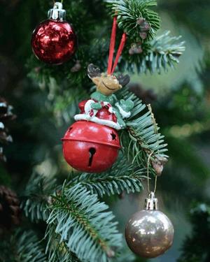 八木香苗の写メ日記｜ローテンブルク 吉原高級店ソープ